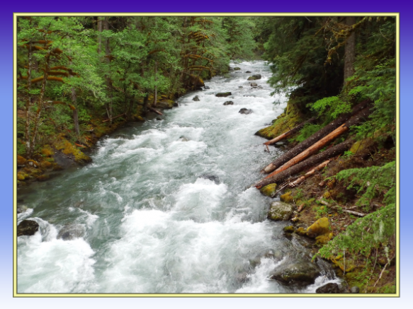 Mount Rainier Natioanlpark